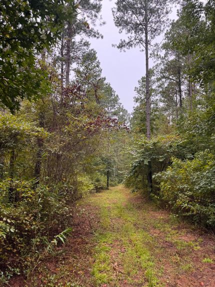 Land for sale in Hale County, Alabama