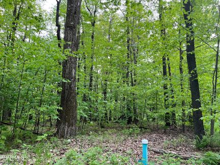Homesite for sale in Blair County, Pennsylvania