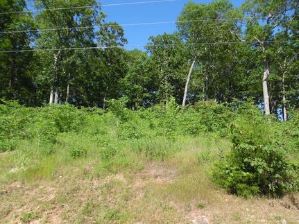 Undeveloped Land for sale in Decatur County, Tennessee