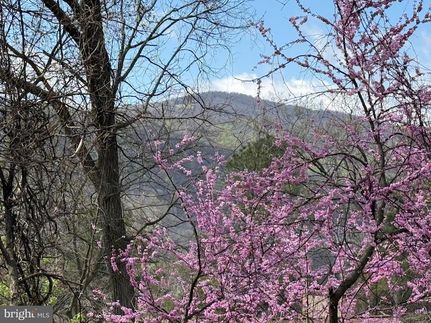 Land for sale in Warren County, Virginia