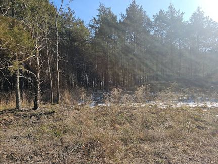 Land for sale in Latimer County, Oklahoma