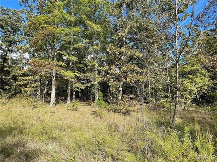 Land for sale in Butler County, Missouri