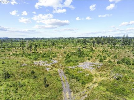 Land for sale in Lewis County, Washington