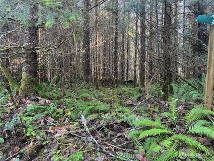 Land for sale in Cowlitz County, Washington