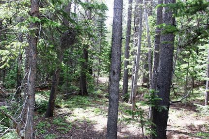Land for sale in Clear Creek County, Colorado