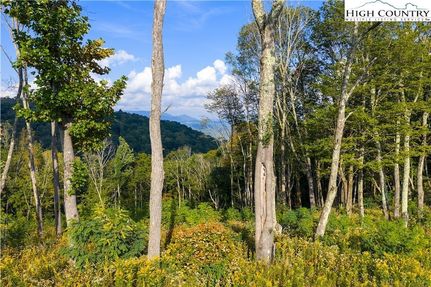Land for sale in Avery County, North Carolina