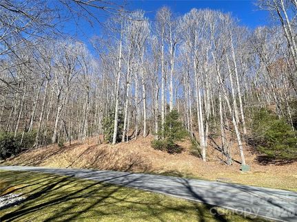 Undeveloped Land for sale in Henderson County, North Carolina