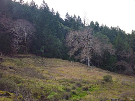 Land for sale in Mendocino County, California