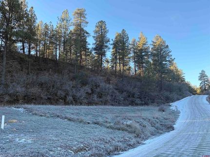 Homesite for sale in Archuleta County, Colorado