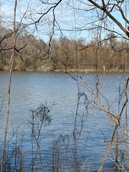 Land for sale in Monroe County, Alabama