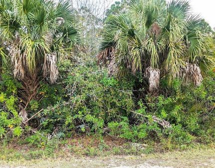Homesite for sale in Indian River County, Florida