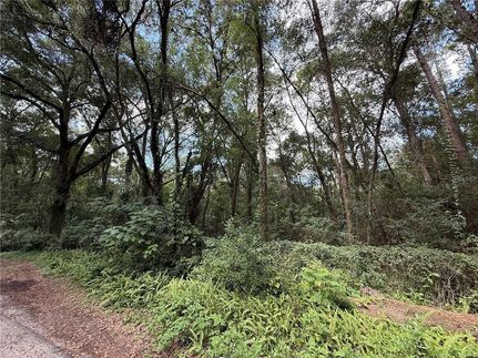 Homesite for sale in Alachua County, Florida