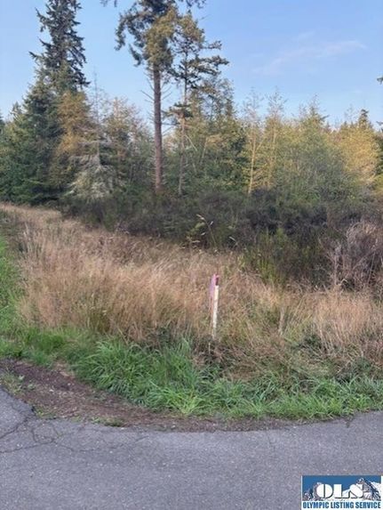 Land for sale in Clallam County, Washington