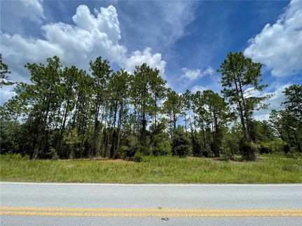 Undeveloped Land for sale in Marion County, Florida