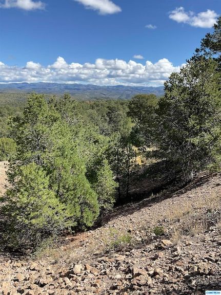 Land for sale in Grant County, New Mexico