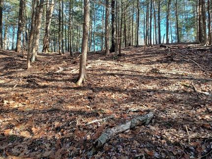 Homesite for sale in Hampshire County, Massachusetts