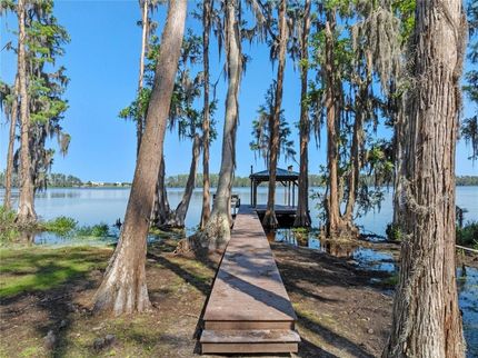 Lakefront Property for sale in Lake County, Florida