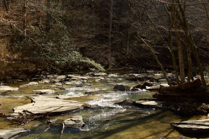 Farm and Ranch for sale in Jefferson County, Alabama