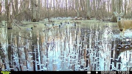 Farm and Ranch for sale in Phillips County, Arkansas