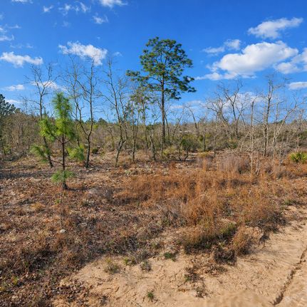 Land for sale in Putnam County, Florida