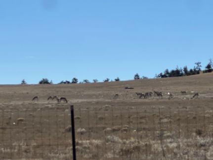 Farm and Ranch for sale in Park County, Colorado