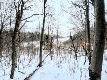 Land for sale in Saint Lawrence County, New York