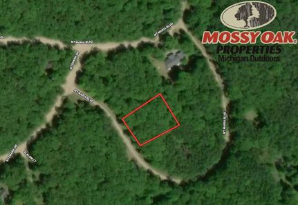 Homesite for sale in Alcona County, Michigan