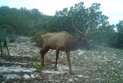 Hunting Property for sale in Edwards County, Texas