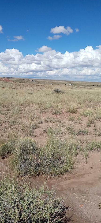 Land for sale in Apache County, Arizona
