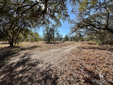 Farm and Ranch for sale in Jasper County, South Carolina