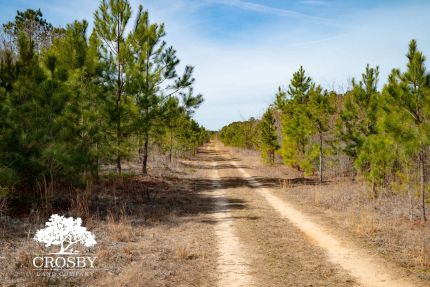 Undeveloped Land for sale in Calhoun County, South Carolina