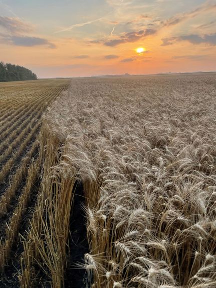 Farm and Ranch for sale in Polk County, Minnesota