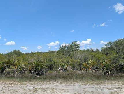 Undeveloped Land for sale in Polk County, Florida