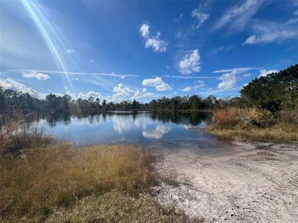 Undeveloped Land for sale in Polk County, Florida