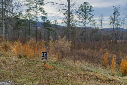 Land for sale in Gilmer County, Georgia