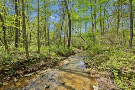 Undeveloped Land for sale in Hickman County, Tennessee
