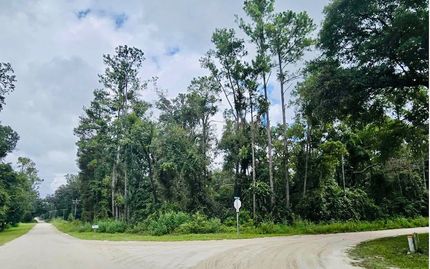 Homesite for sale in Suwannee County, Florida
