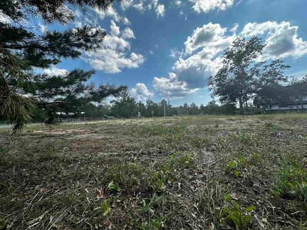 Land for sale in Taylor County, Florida