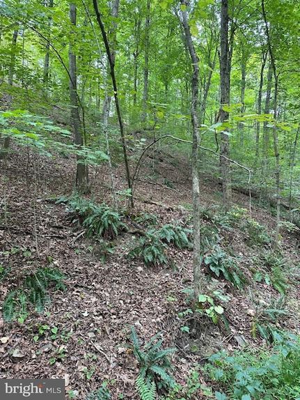 Land for sale in Bedford County, Pennsylvania