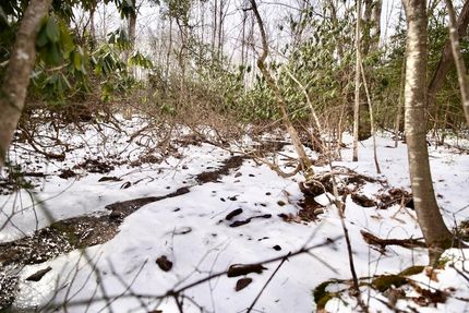 Land for sale in Carroll County, Virginia