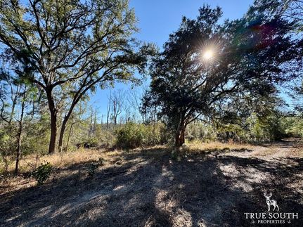 Land for sale in Jasper County, South Carolina