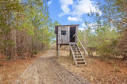 Recreational Property for sale in Williamsburg County, South Carolina