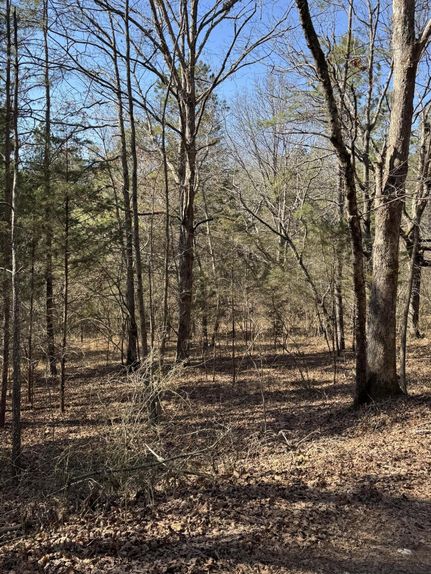 Land for sale in Hamilton County, Tennessee