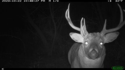 Farm and Ranch for sale in Richland County, Wisconsin