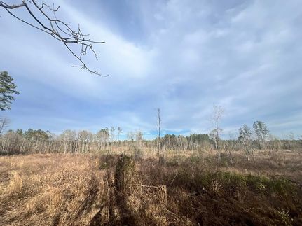 Land for sale in Wayne County, Mississippi