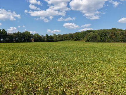 Farm and Ranch for sale in Decatur County, Tennessee