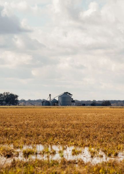 Farm and Ranch for sale in Monroe County, Arkansas