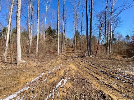 Land for sale in Adams County, Ohio