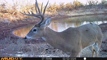 Hunting Property for sale in Taylor County, Texas