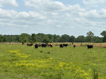 Recreational Property for sale in Bowie County, Texas